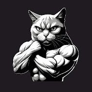 Андрей Бондаренко | Тренировки