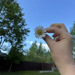 Алиса ромашка🌸