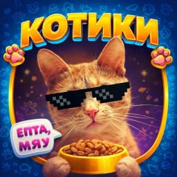 КОТИКИ 😻