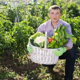 О Фазенде. Загородная жизнь