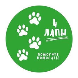 4 ЛАПЫ | Помощь бездомным животным, потеряшки г. Тюмень