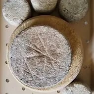 Сыроварня Абрамовых в Соколово