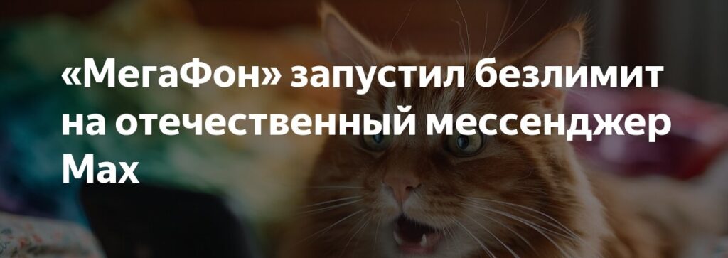 MAX Мессенджер