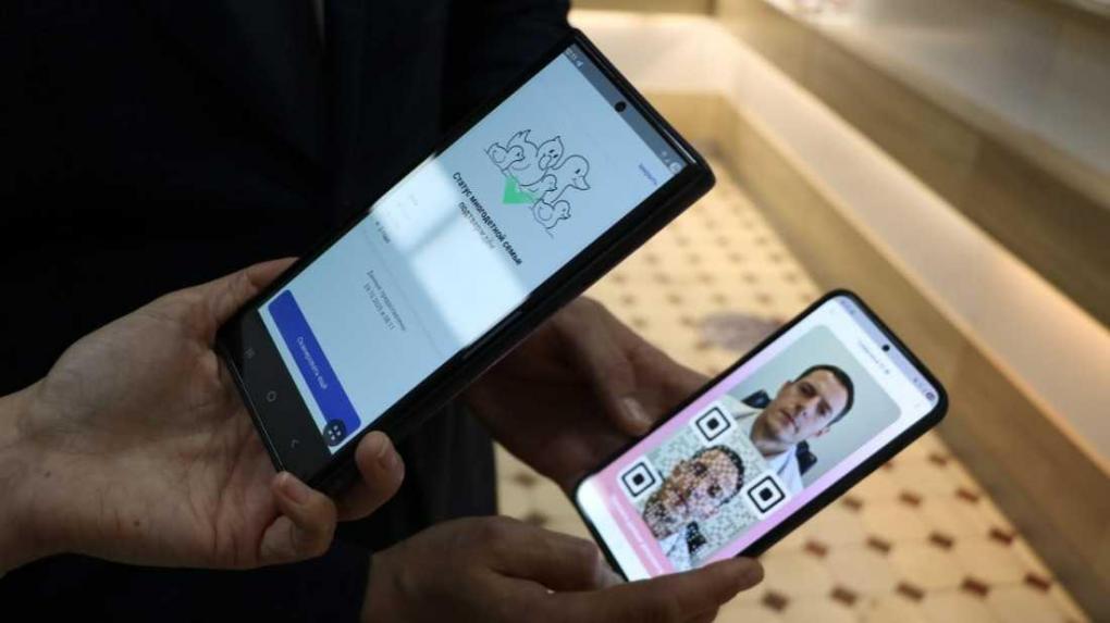 В Новосибирской области запущен инновационный цифровой сервис, позволяющий многодетным семьям подтверждать свой статус не через бумажные удостоверения